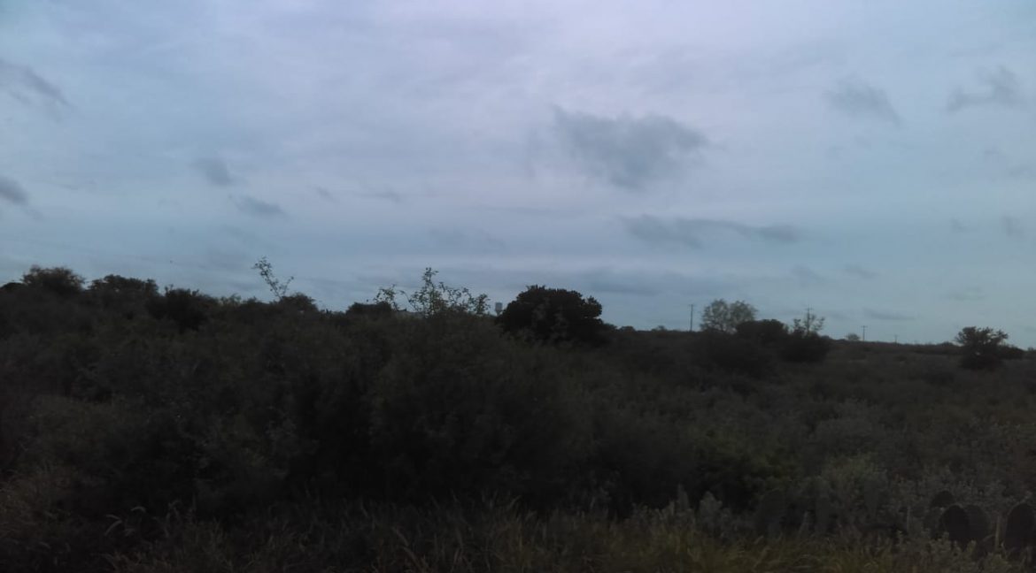 IMG-20200529-WA0029