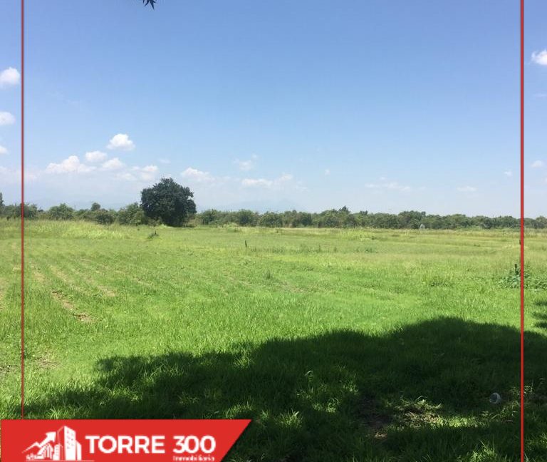 eZy_watermark_25-07-2019_02-14-06