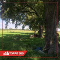 eZy_watermark_25-07-2019_02-14-07