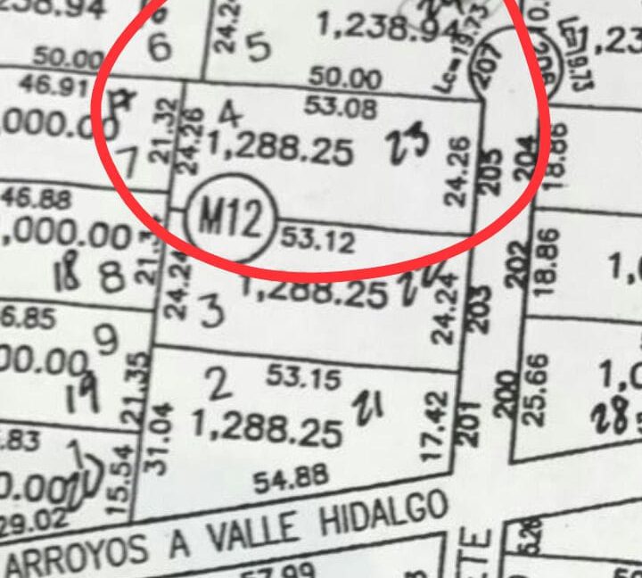 image1 (2)